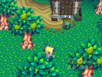 Image n° 3 - screenshots : Animal Crossing